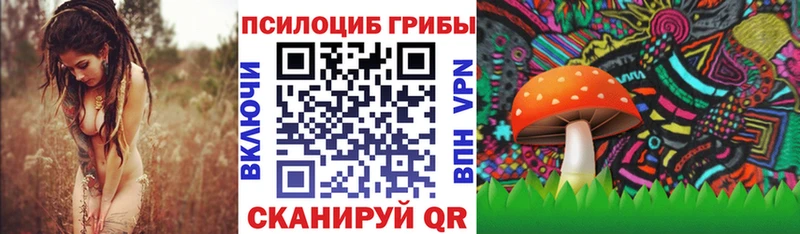 Псилоцибиновые грибы мицелий  Верхотурье 